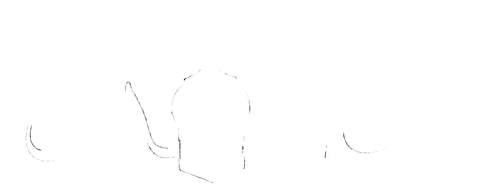 raza academy logo